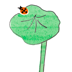 御朱印さんぽ 関西の寺社2018/12/15 蓮の葉にとまるテントウ虫のイラスト