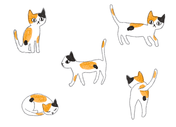御朱印さんぽ 神奈川 埼玉 東京の寺社2019/12/15 三毛猫のイラスト