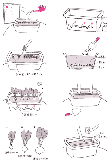 「MORE」2010年5 月号（集英社）家庭菜園の作り方イラスト