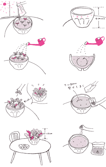 「MORE」2010年5 月号（集英社）家庭菜園の作り方イラスト