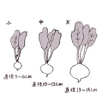 「MORE」2010年5 月号（集英社）カテゴリーイラスト